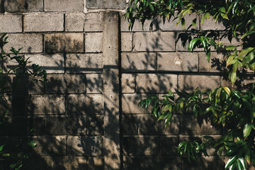 shadow of trees on the brick wall