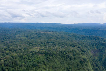 Fototapeta na wymiar Aerial View of Rain Forest in Boleven Highland, Champasak, Lao PDR