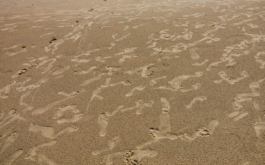 Footprint of big crowd of people on the sand.