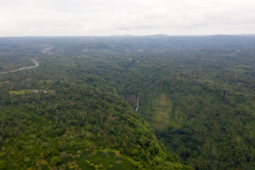 Fototapeta premium Tropical Forest in Laos