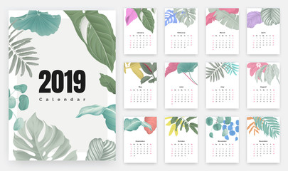 2019 calendar design, set of botanical illustrations for 12 months