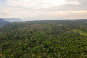 Naklejka na ściany i meble Tropical Forest in Laos