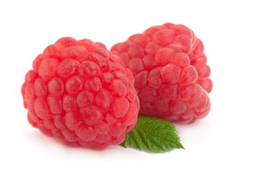 Raspberry fruit closeup