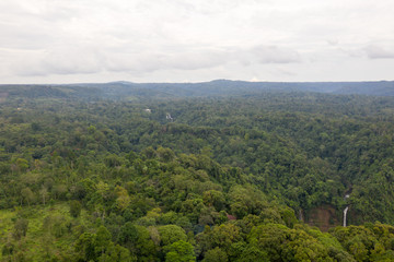 Fototapeta na wymiar Aerial view of rain forest in Laos