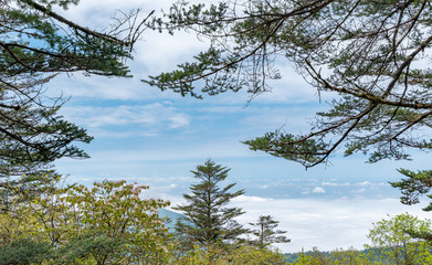 Scenery of the mountainside of Mount Emei, Sichuan Province, China