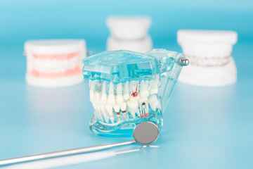 Fototapeta na wymiar Dental tool with model in dental care concept.