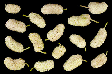 White mulberry closeup on black
