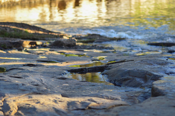 Obraz premium reflection of trees in water