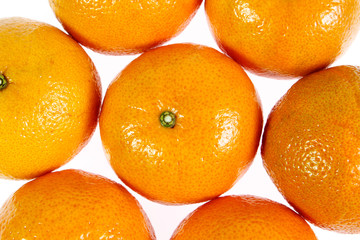 orang isolated on white