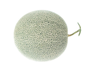 green melon isolated on white