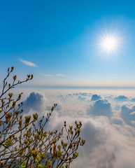 •	sea of clouds in the morning sun, at the top of Emei Mountain in Sichuan Province, China