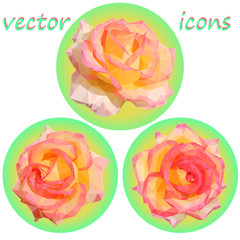 Fototapeta na wymiar set of three round icons of delicate roses in low poly style