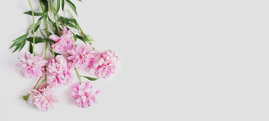 beautiful bouquet of peonies on a white background. space for text. flat lay, long banner