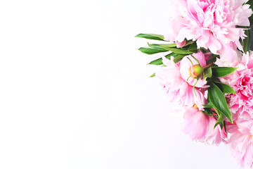 bouquet of light pink peonies on a white background. close-up view from the top, copy space