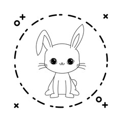 cute rabbit animal with frame circular