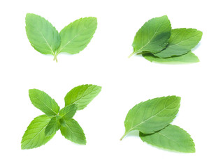 mint leaves isolated isolated on white (set  mix   collection)