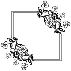 Vector illustration various decoration of card with ornate of flower frame
