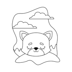 head of cute cat animal in landscape