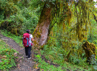 Obraz premium Annapurna Circuit Trek in Pokhara, Nepal
