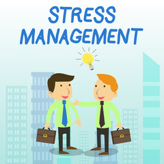 Word writing text Stress Management. Business photo showcasing method of limiting stress and its effects by learning ways Two White Businessmen Colleagues with Brief Cases Sharing Idea Solution