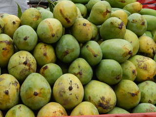 Indian Mango in summer days