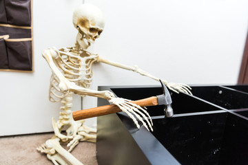 Bony skeleton assembling a black wooden shelf