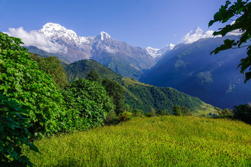 Naklejka premium Snow covered peak of Annapurna Massif