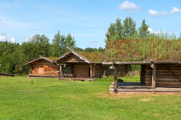 Residential houses of the Slavic village of the tenth century