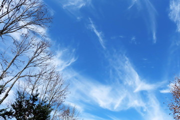 blue sky with clouds