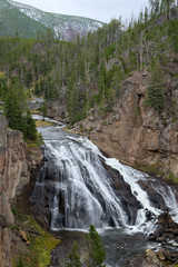 Fototapeta na wymiar View of Gibbon Falls in Yellowstone National Park