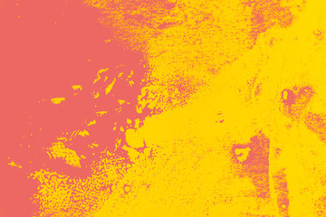 yellow orange pink paint background texture with grunge brush strokes