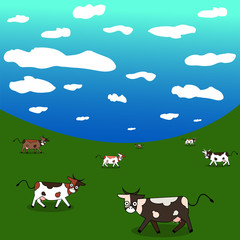 Dairy cows in a meadow, summer  landscape, cow on ranch fields and country.