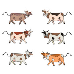 Cute cartoon cow funny illustration,  isolated on white background.