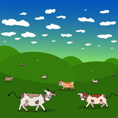 Dairy cows in a meadow, summer  landscape, cow on ranch fields and country.