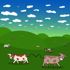 Dairy cows in a meadow, summer  landscape, cow on ranch fields and country.