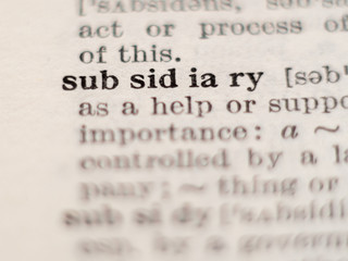 Dictionary definition of word subsidiary, selective focus.