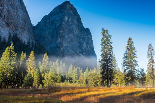 A landscape view of the amazing landscape from the canyon floor at Yosemite National Park, USA against a beautiful bright blue sky and mist hugging the trees nobody in the image