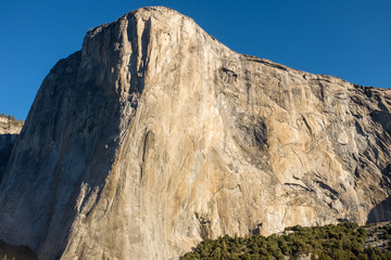 A landscape view of the amazing El Capitan from the canyon floor at Yosemite National Park, USA against a beautiful bright blue sky nobody in the image