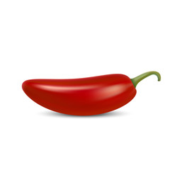 realistic red hot natural chili pepper