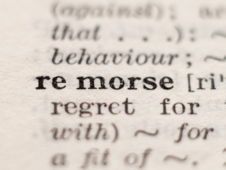 Dictionary definition of word remorse, selective focus.