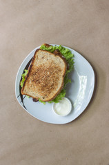 Wholemeal bread sandwich