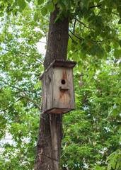 birdhouse made of wood, hanging on a tree, with green leaves on the background