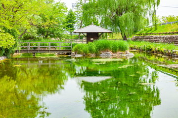 Obraz premium 安曇野わさび田湧水群公園、長野県安曇野市にて