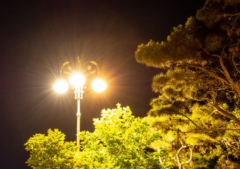 Modern street lights illuminated at night against a dark sky