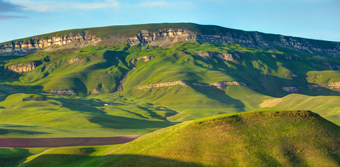 Colorful pastures in summer time.