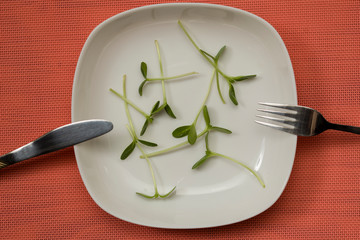 Fresh homegrown sunflower microgreens with fork and knife on a plate, on blue background