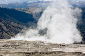 Mammoth Hot Springs