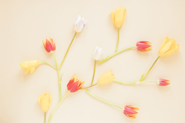 Obraz premium Flowers