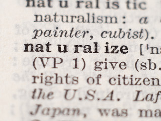 Obraz premium Dictionary definition of word naturalize, selective focus.