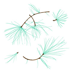 Pine cone x-mas branch with red berry isolated fir on white foliage. Christmas party flyer design concept. Winter sale fair branding. December promo decoration with hand-painted natural holly.